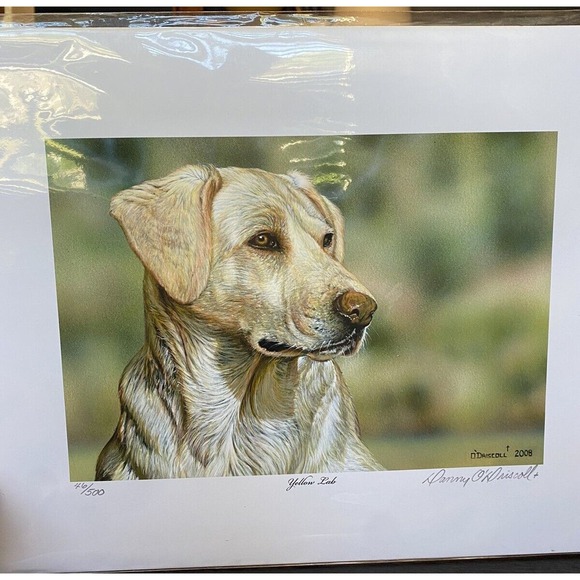 New Art Painting Print yellow lab Dog Puppy Danny O’Driscoll 2008 46/500 11x114 - Picture 2 of 6